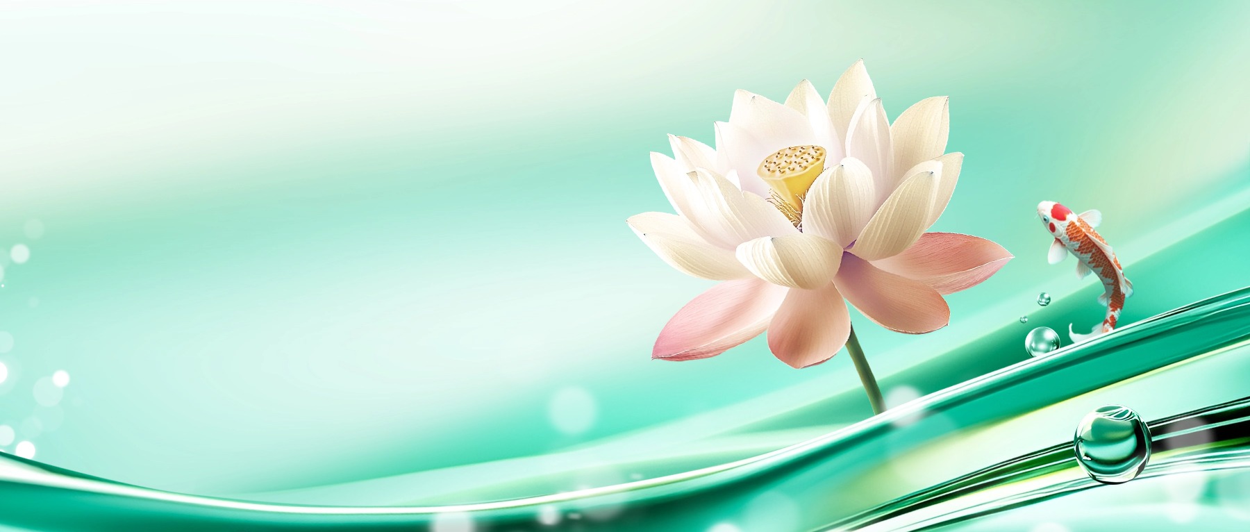 晨晨老师的头像-教务文库